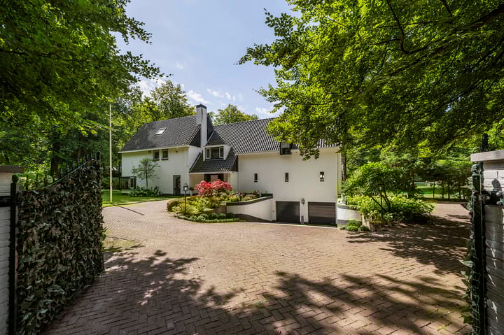 Foto 45 van Koning Willem III-laan 9