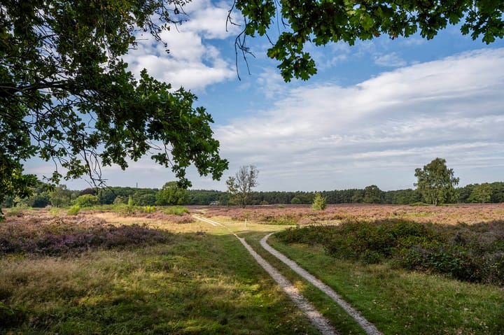 Foto 46 van Koning Willem III-laan 9