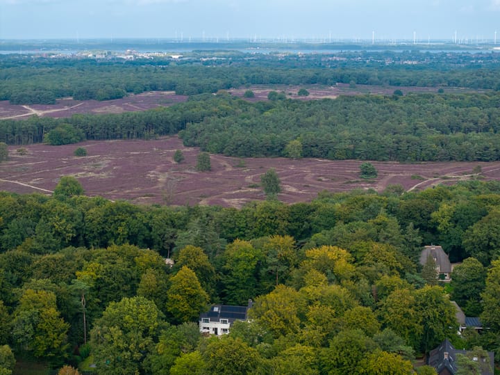 Foto 47 van Koning Willem III-laan 9