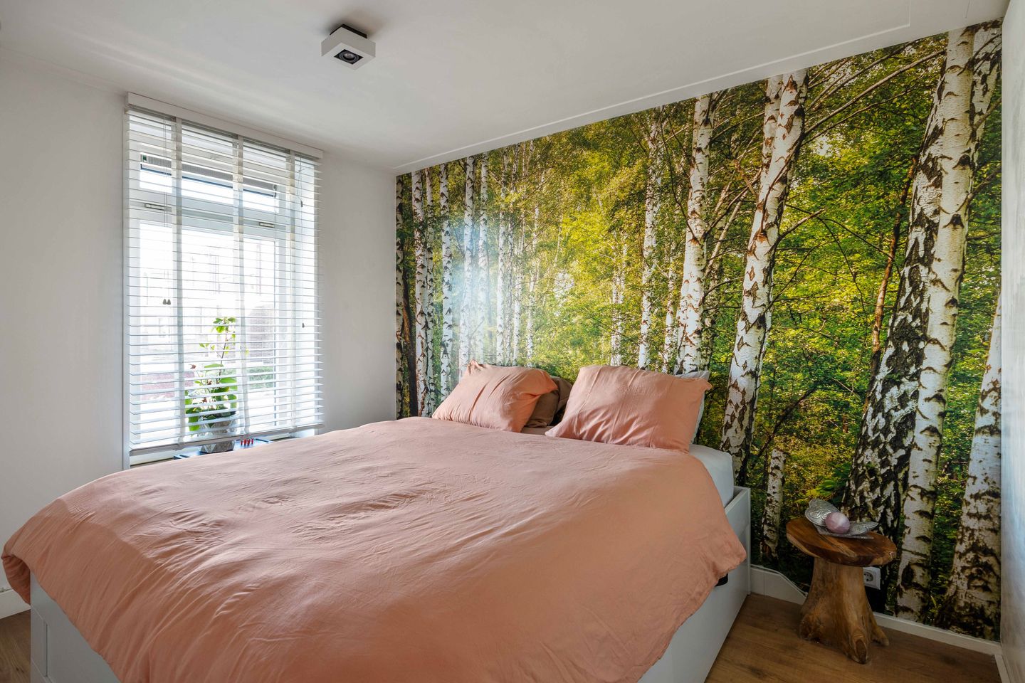 Photo 20 of Trompstraat 172