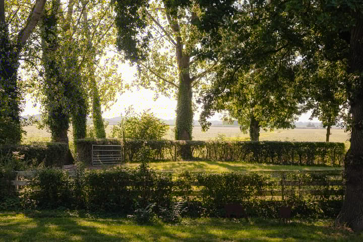 Foto 41 van Dammerweg 10