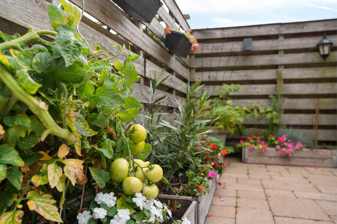 Foto 38 van Melchiorstraat 46