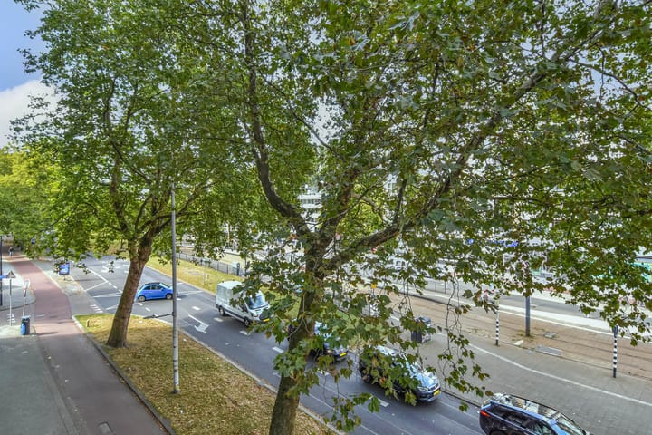 Foto 21 van Goudsesingel 366