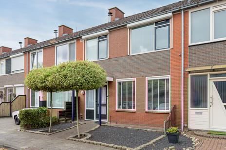 undefined main image