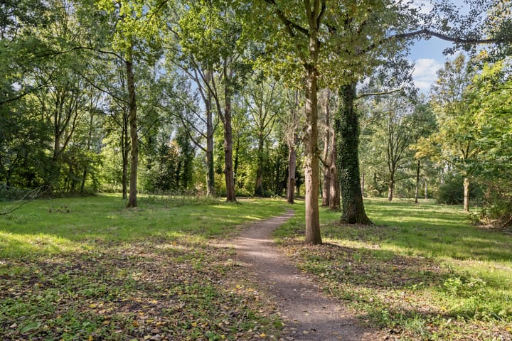 Foto 34 van Samuel de Langestraat 43