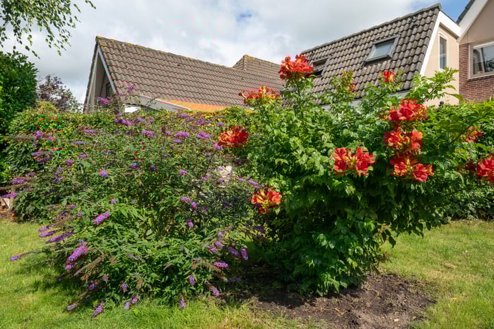 Foto 48 van Merel 14