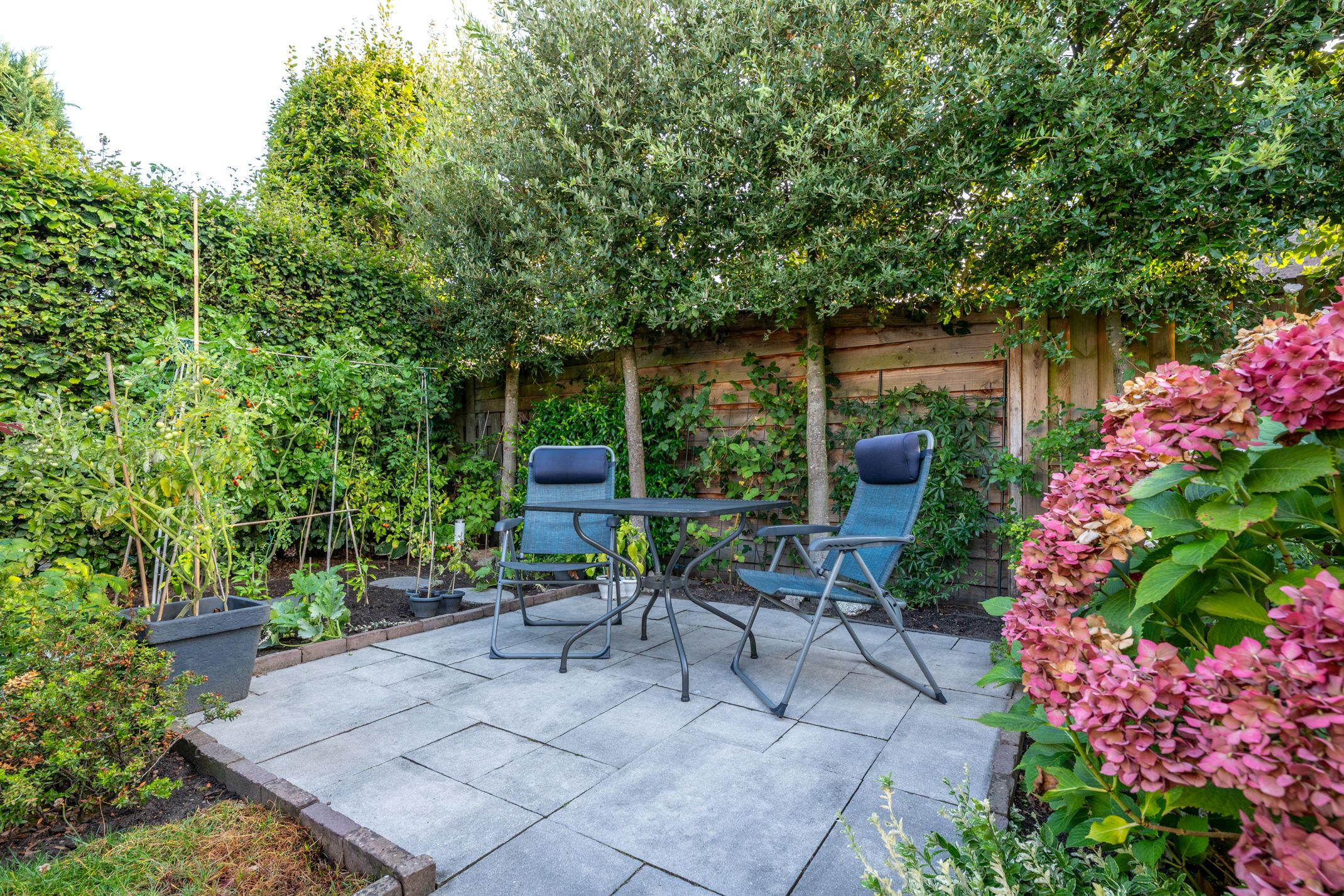 Foto 21 van Amaliastein 138