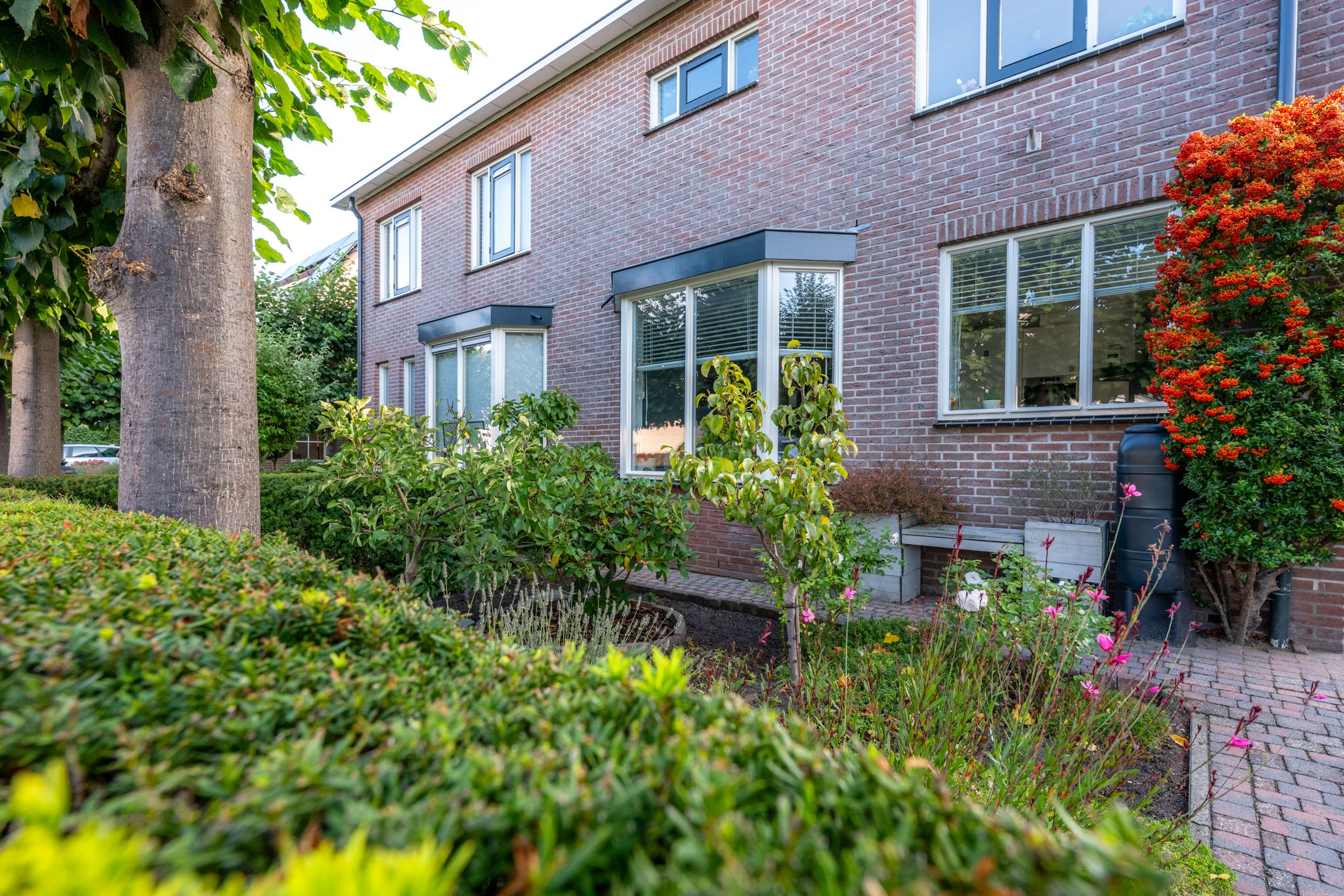 Foto 75 van Amaliastein 138