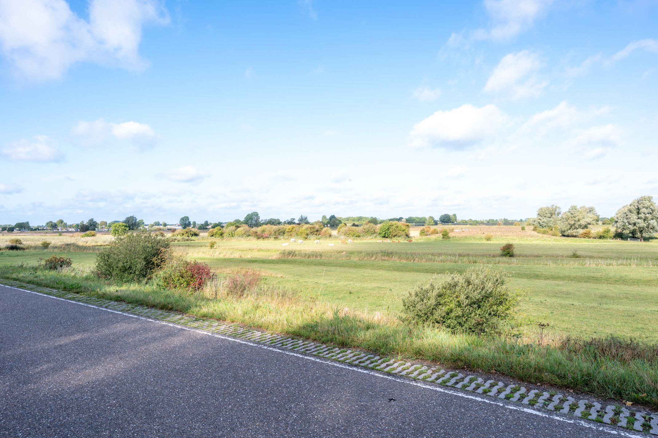 Foto 78 van Amaliastein 138