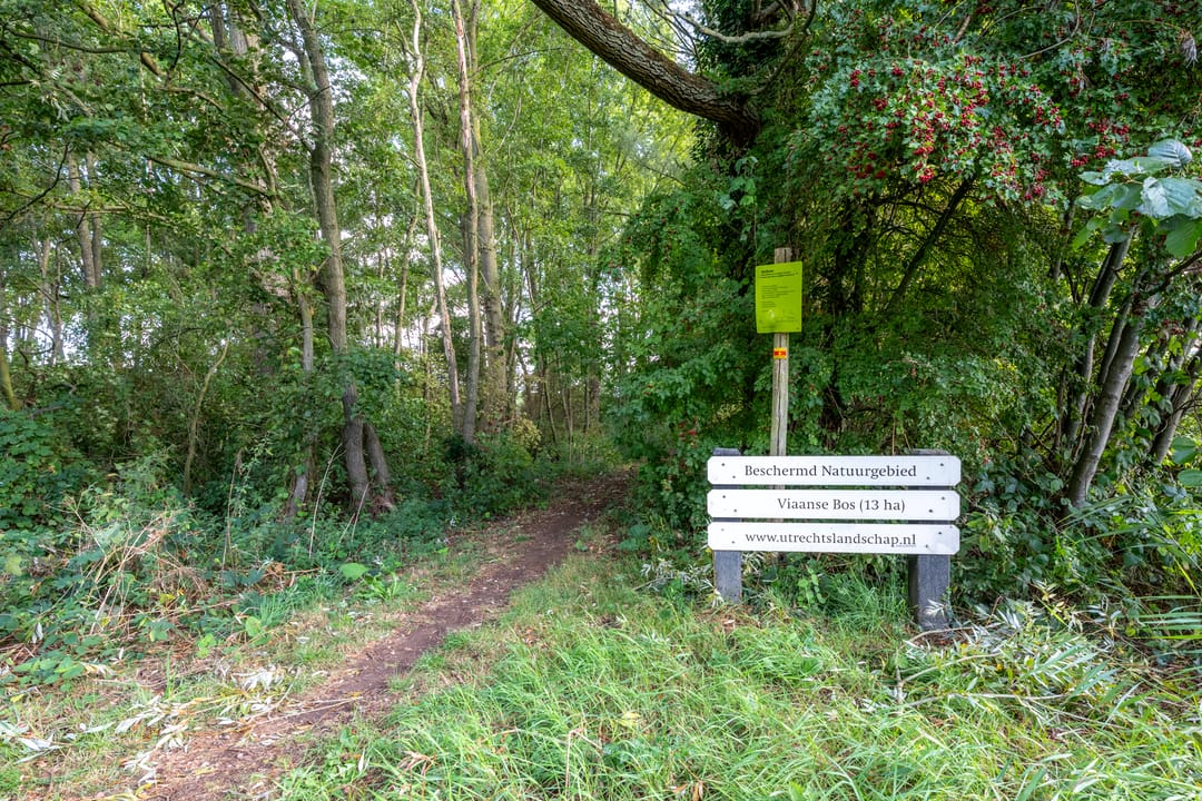 Foto 83 van Amaliastein 138