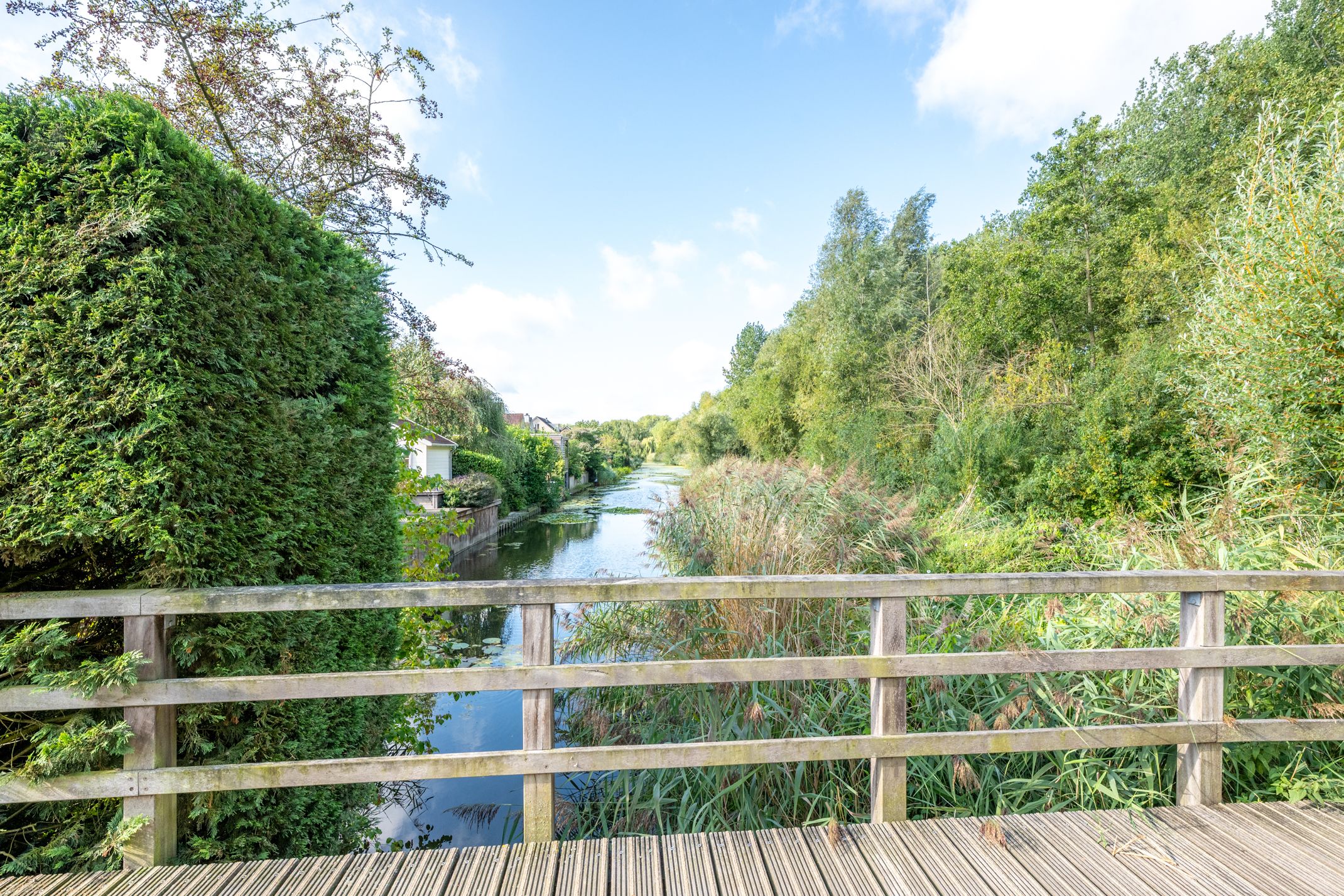 Foto 84 van Amaliastein 138