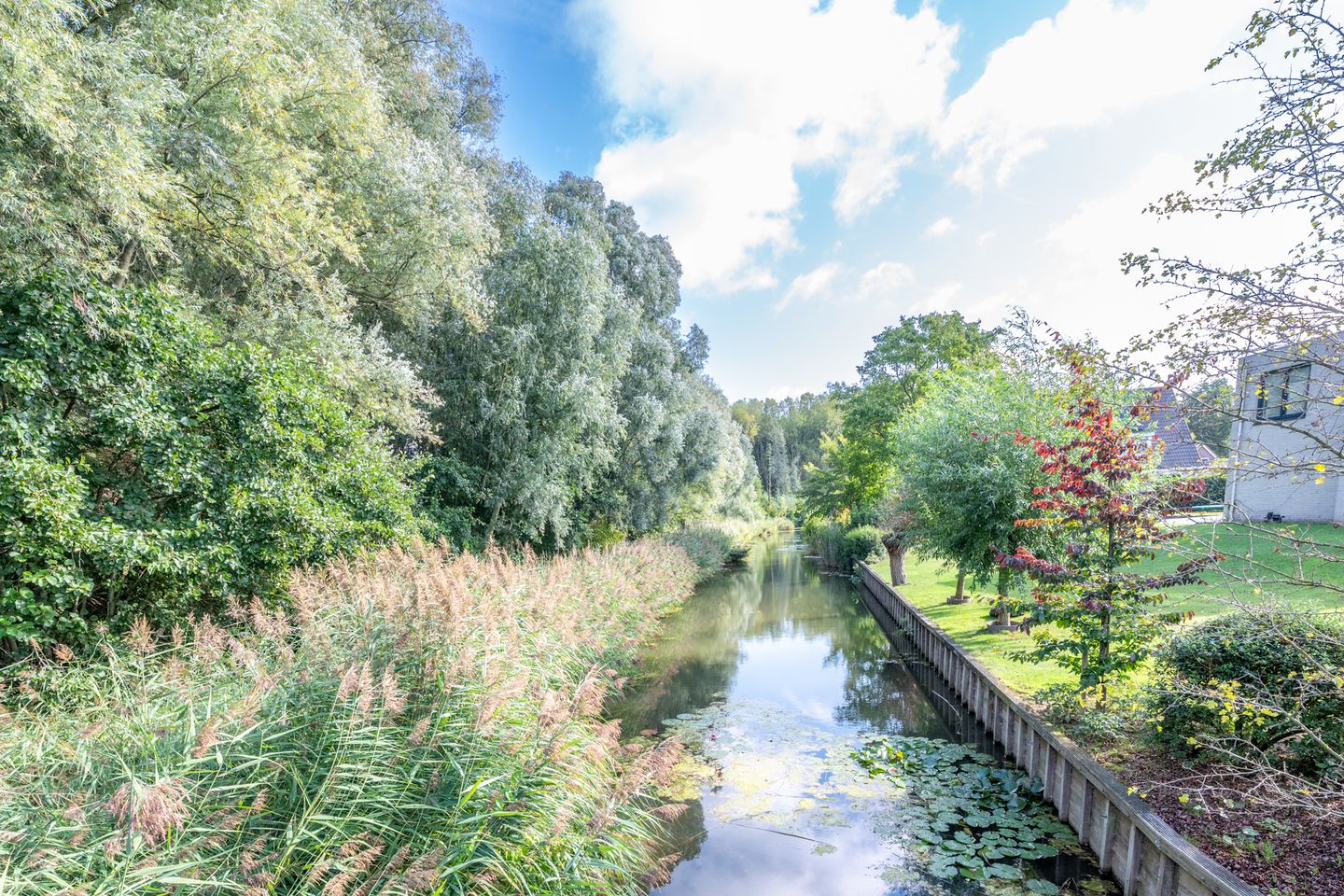 Foto 85 van Amaliastein 138