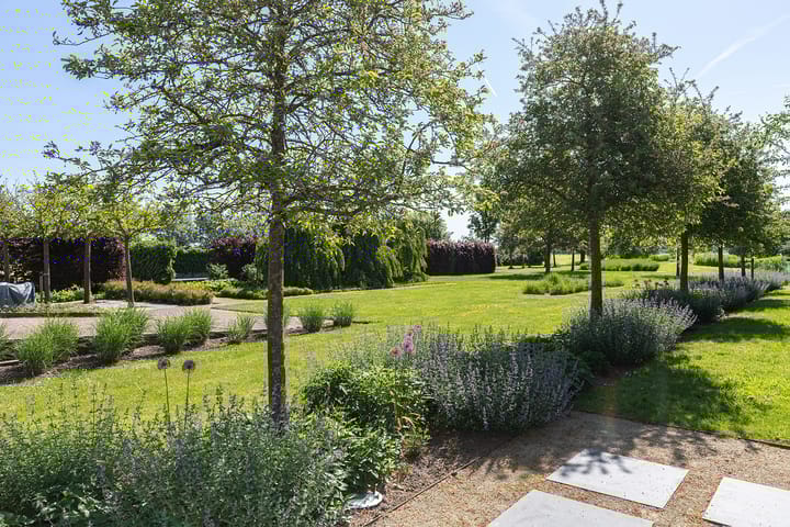 Foto 67 van Neerpolderseweg 53