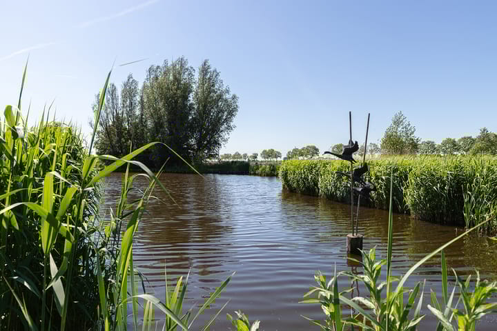 Foto 77 van Neerpolderseweg 53