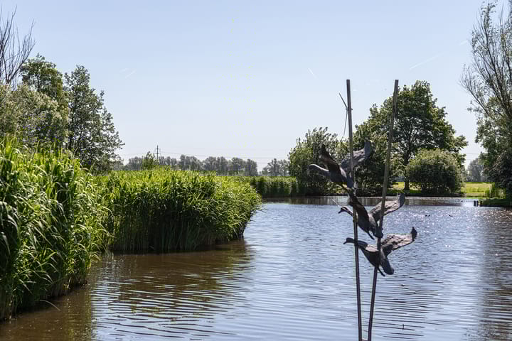 Foto 78 van Neerpolderseweg 53