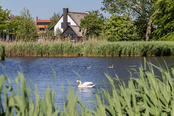 Foto 81 van Neerpolderseweg 53