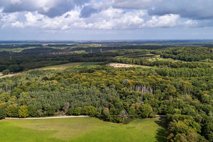 Foto 30 van Larikslaan 25