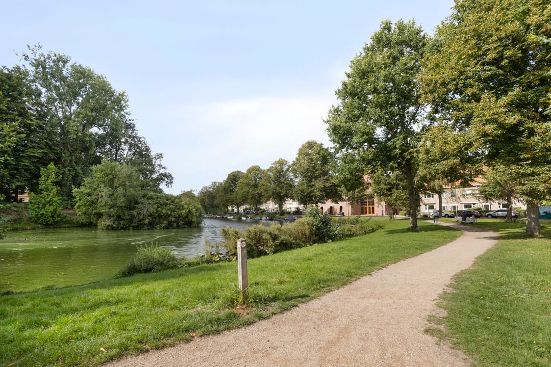 Photo 62 of Kloppersingel 97