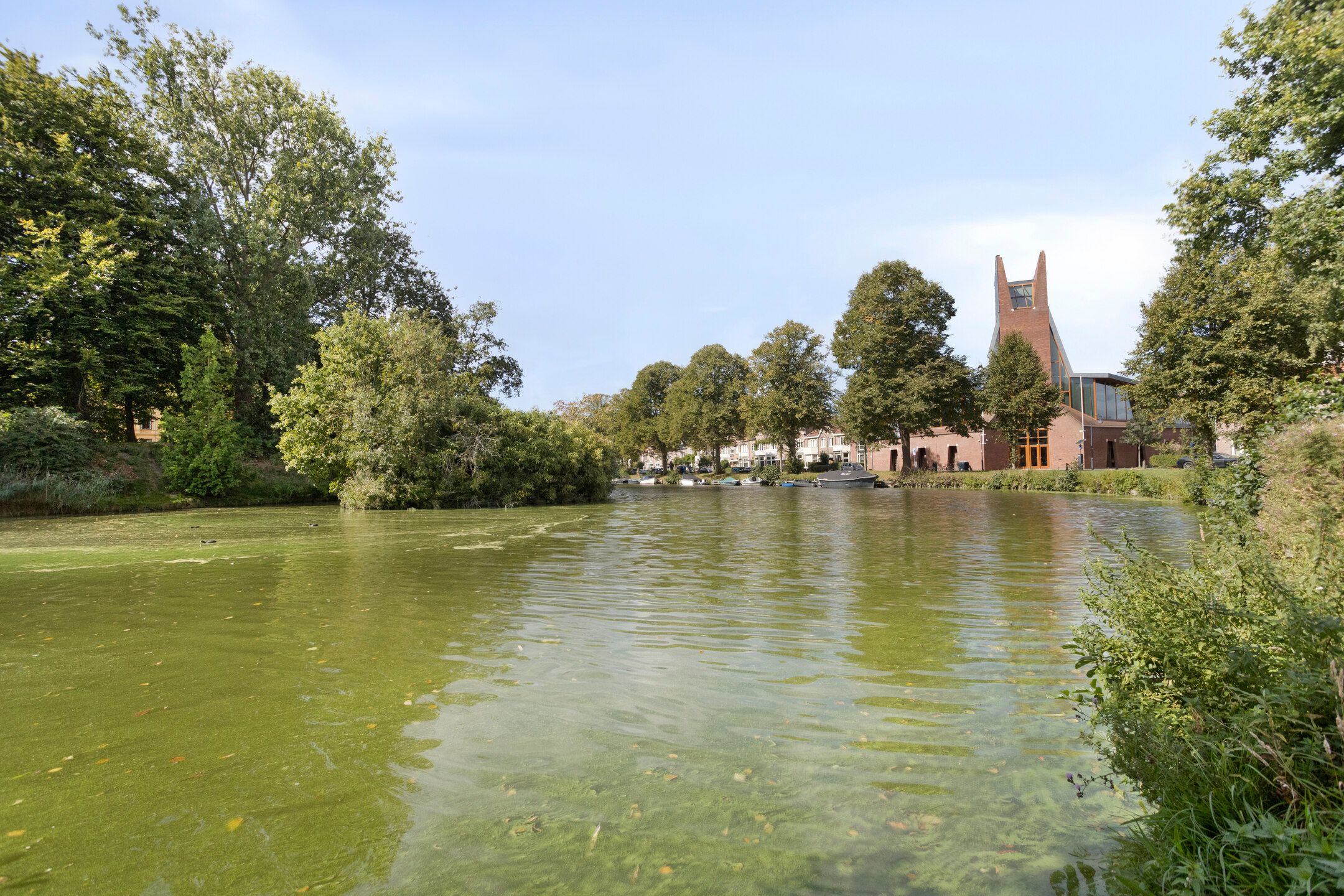 Photo 63 of Kloppersingel 97