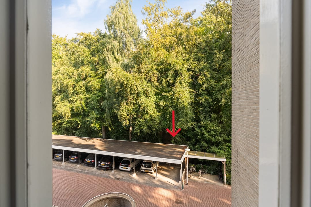 Foto 8 van Statehof 36