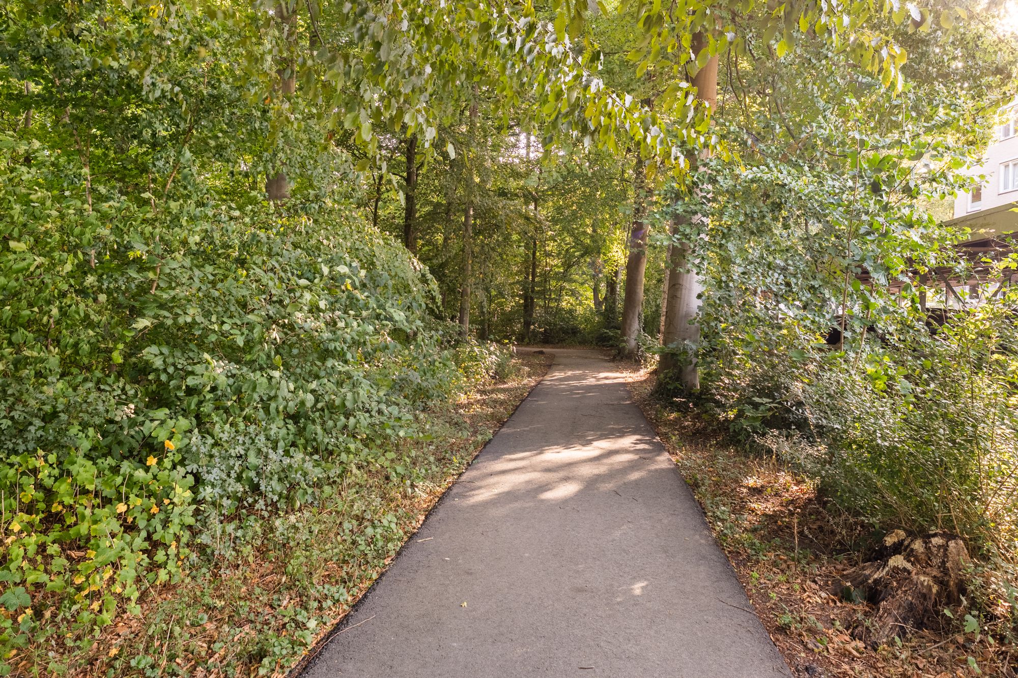 Foto 48 van Statehof 36