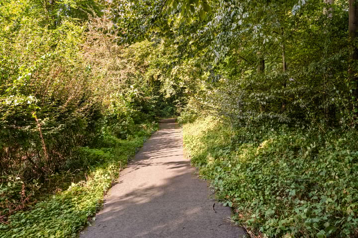 Foto 49 van Statehof 36