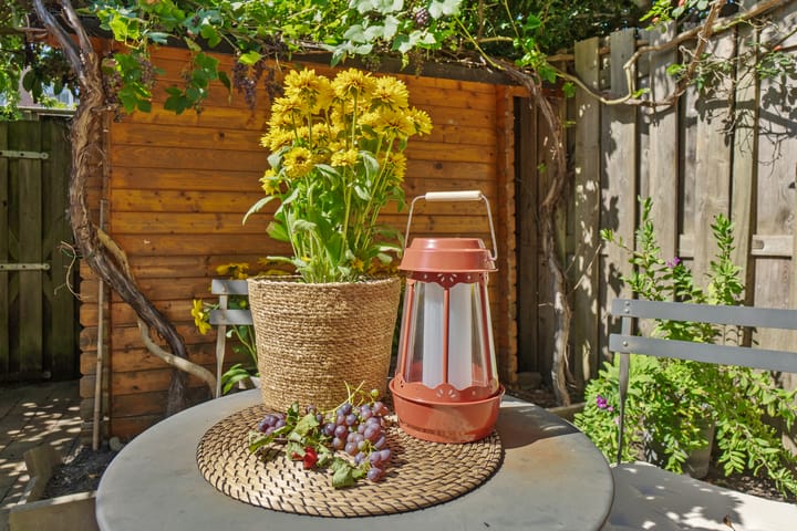 Foto 31 van Wolterbeekstraat 37