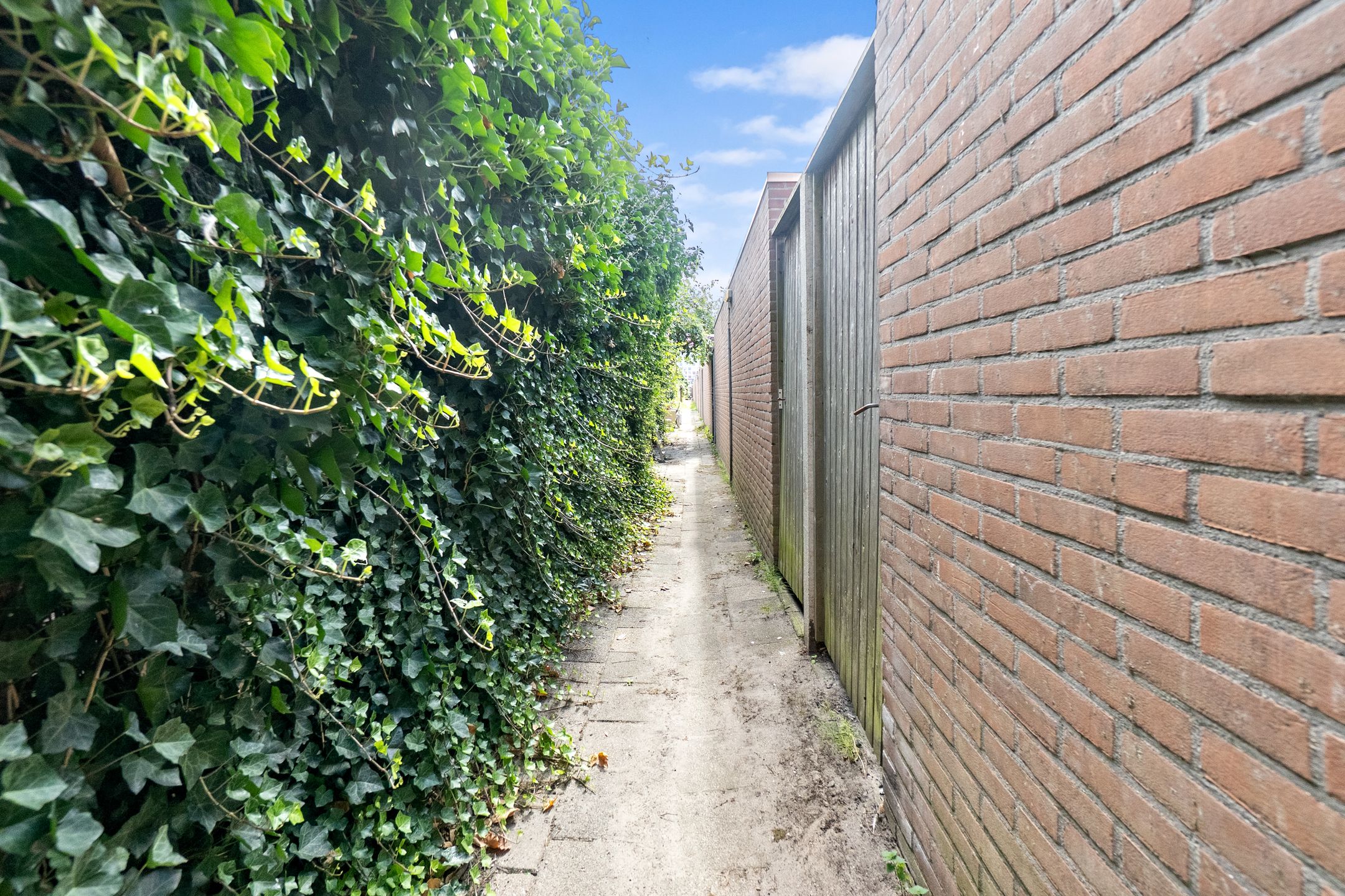 Photo 69 of Wolterbeekstraat 37