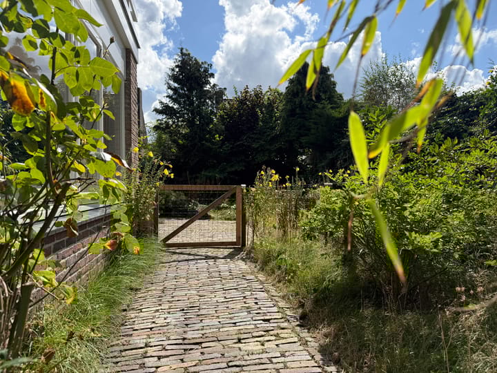 Foto 47 van Prins Hendriklaan 46