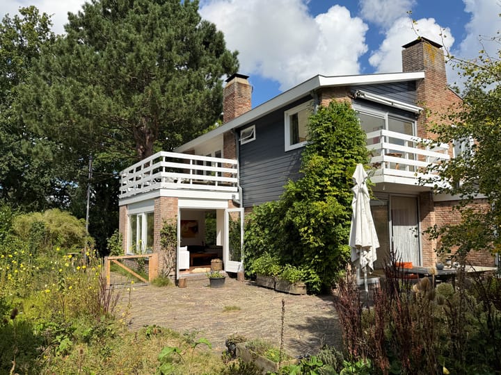 Foto 51 van Prins Hendriklaan 46