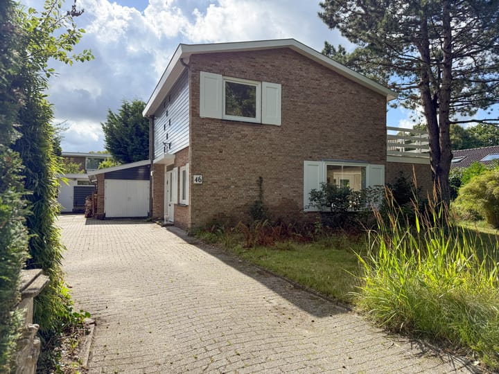 Foto 60 van Prins Hendriklaan 46