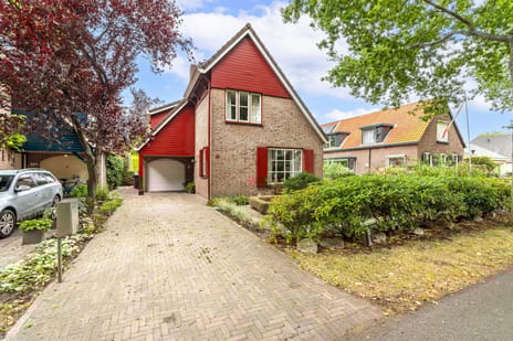 undefined main image