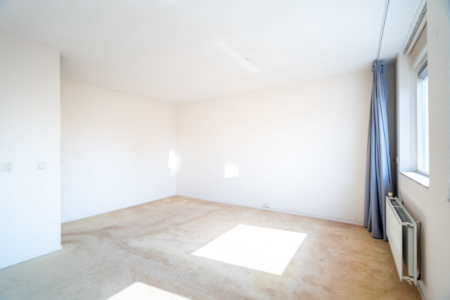 Foto 20 van Fonteinkruid 39