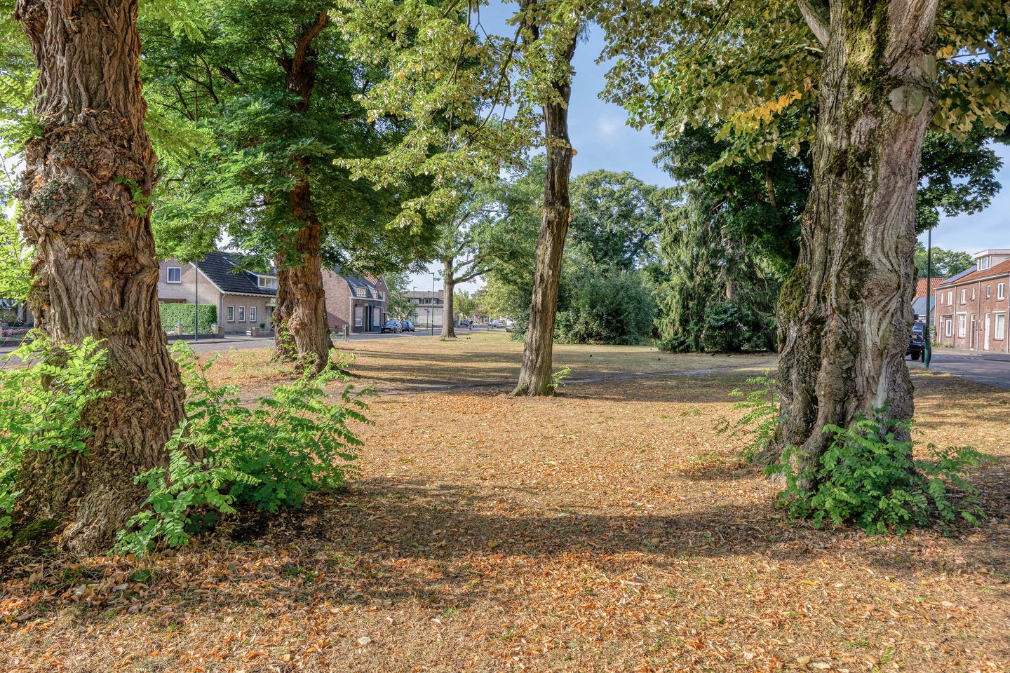 Photo 29 of Julianastraat 22