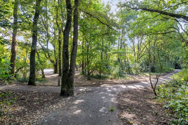 Foto 30 van Julianastraat 22