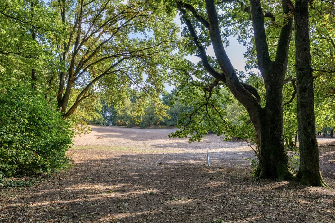 Photo 31 of Julianastraat 22