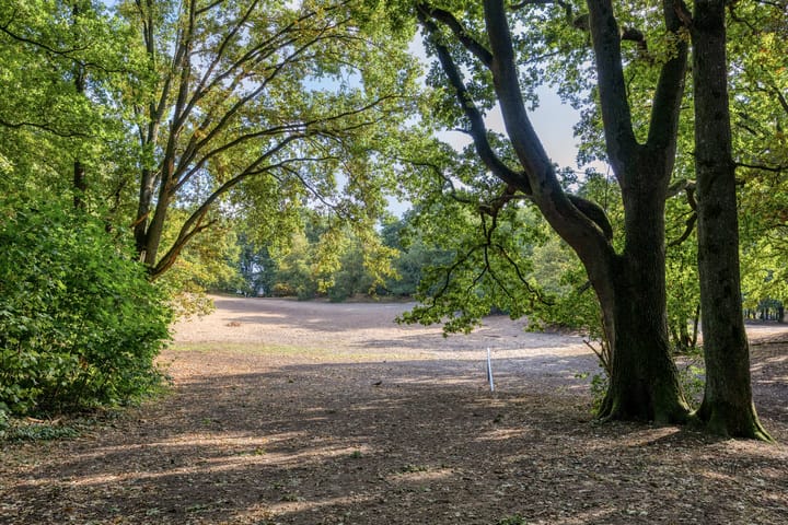 Foto 31 van Julianastraat 22