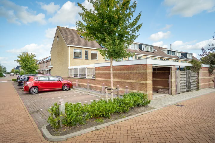 Photo 37 of Fonteinkruid 39