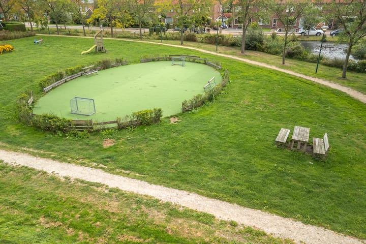 Photo 41 of Fonteinkruid 39