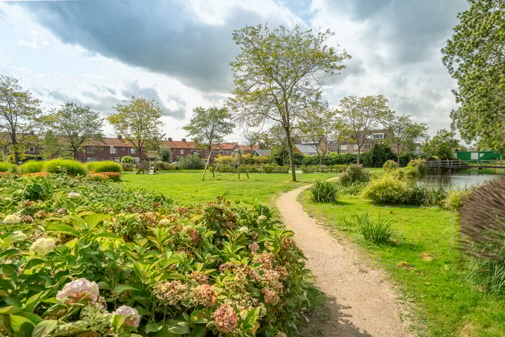 Photo 42 of Fonteinkruid 39