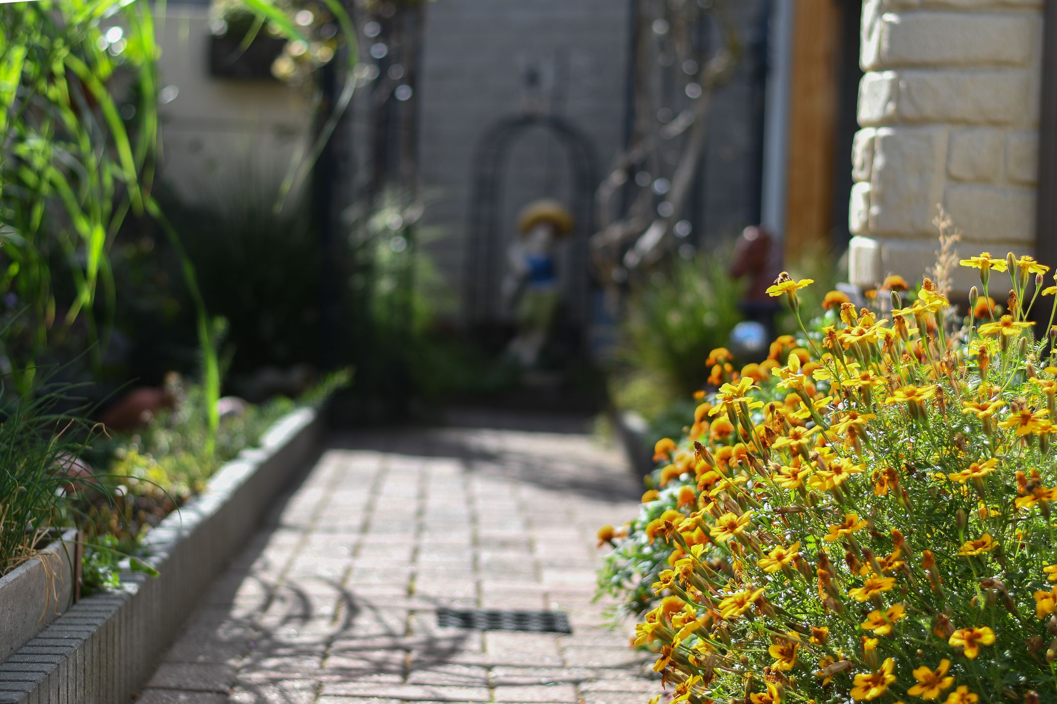 Foto 33 van Strijthagenweg 124