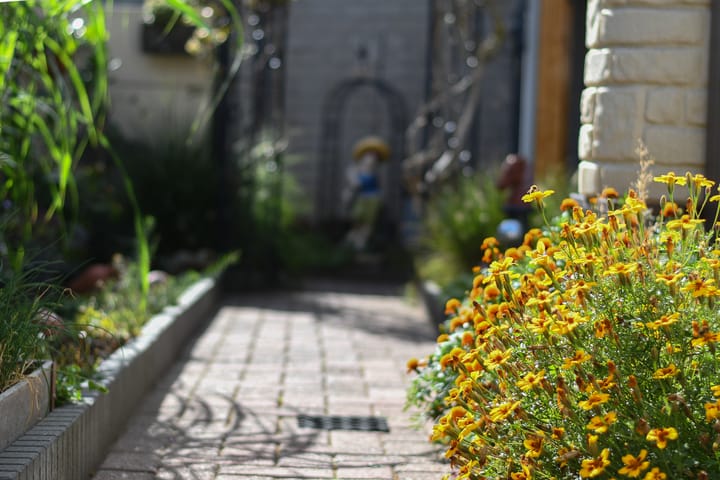 Foto 33 van Strijthagenweg 124