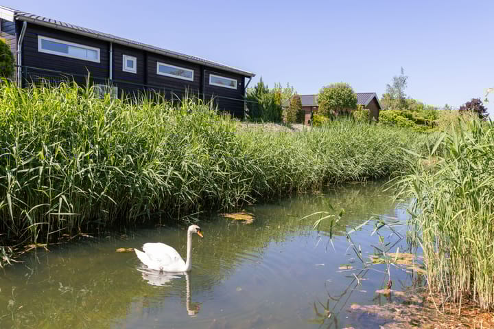 Foto 50 van Eaglelaan 8