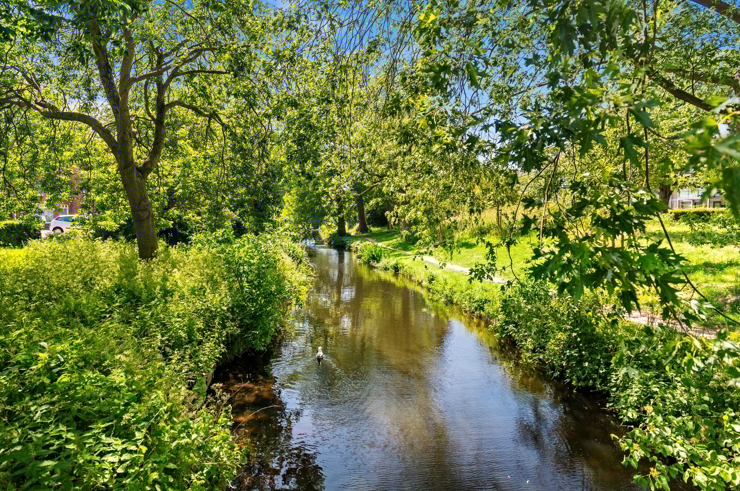 Foto 40 van Laakkade 413