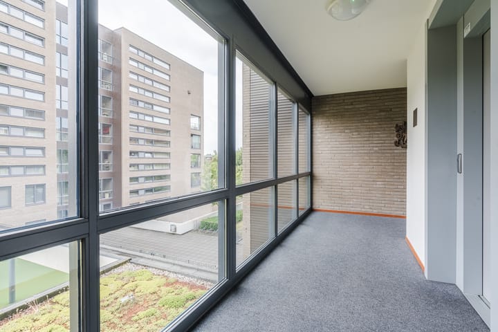 Foto 8 van Houtwal 9