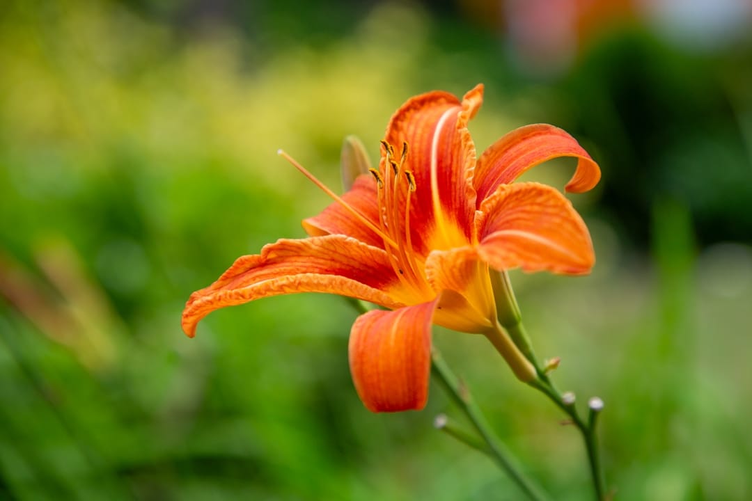 Foto 66 van Pasweg 1