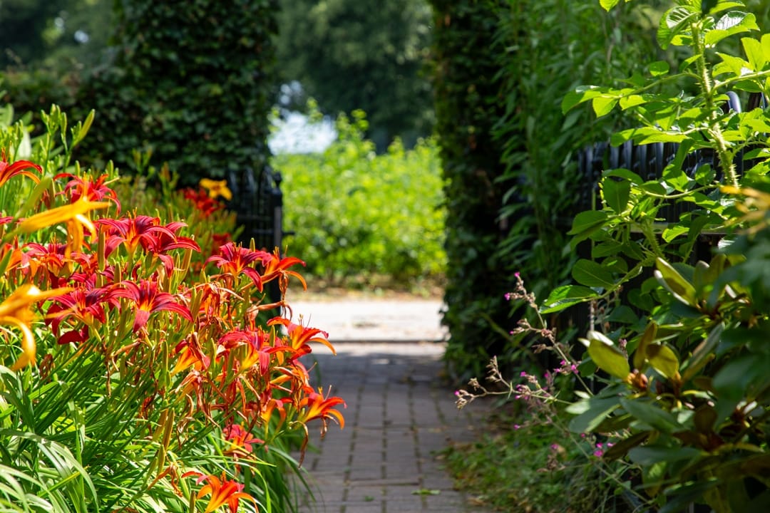 Foto 72 van Pasweg 1