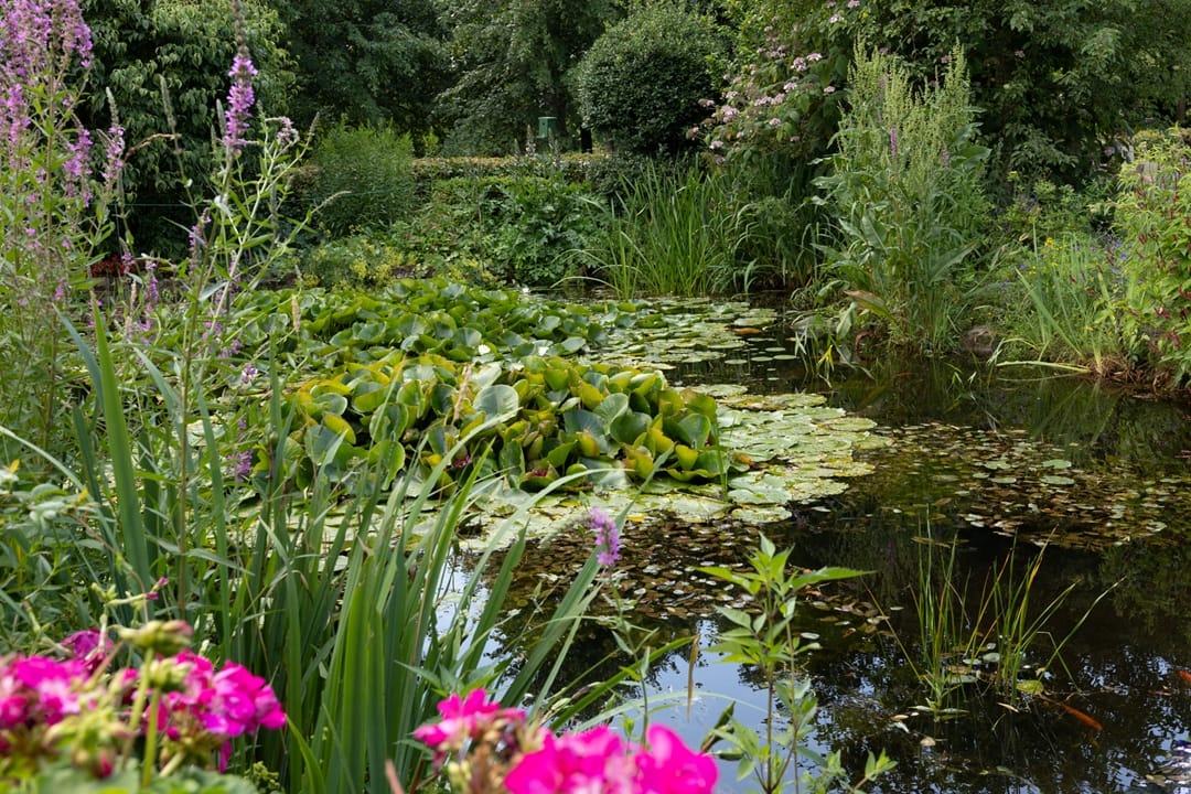 Foto 77 van Pasweg 1