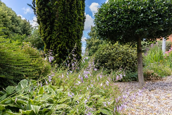 Photo 78 of Pasweg 1