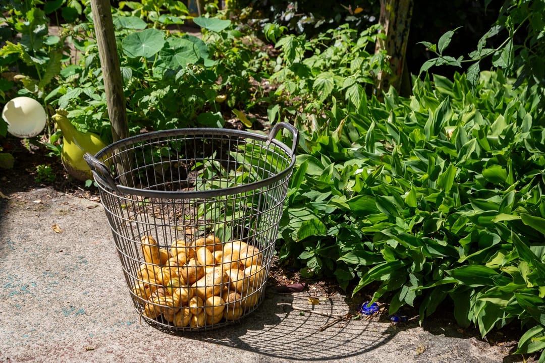 Foto 79 van Pasweg 1